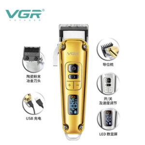 V-006